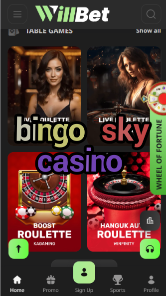 Bingo Sky Casino - Cloud-Themed Bingo Games-casinoorder.vip