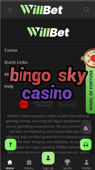 Bingo Sky Casino - Cloud-Themed Bingo Games-casinoorder.vip