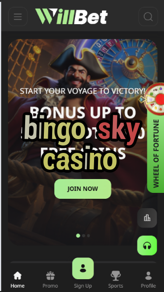 Bingo Sky Casino - Cloud-Themed Bingo Games-casinoorder.vip